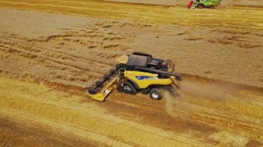 Altın tarla geçmişi üzerinde çalışan hasatçıları birleştirin. Tarım makineleri tarım arazilerindeki ekinleri hasat ediyor. Hava görüntüsü. Hareket kamerası geri.