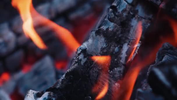 Brûler Bois Brûler Feu Dans Une Cheminée Mouvement Lent — Video