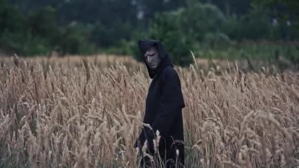 Страшна Чорна Фігура Пшеничному Полі Жахливий Привид Темній Мантії Капюшоном — стокове відео