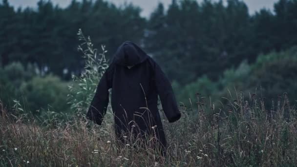 黑色死亡 伸出双臂在室外 黑黑的万圣节服装人影矗立在朦胧的树后 恐怖概念 — 图库视频影像