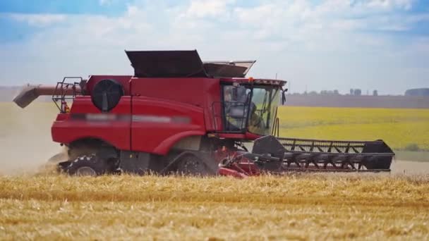 农田里红色联合收割机的侧视图 现代收割机在夏季田间季节性作业的过程 农业概念 — 图库视频影像