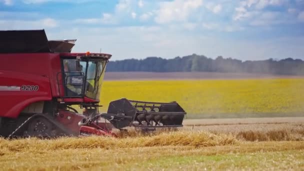 Modern kombájn a mezőn. Vörös mezőgazdasági gépek betakarítása termés a gyönyörű vidéki táj nyáron. Agronómiai koncepció.