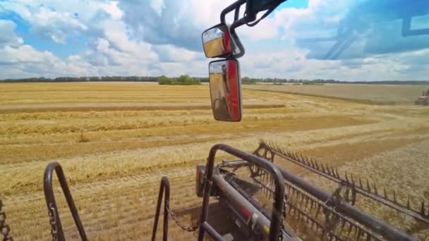 閉鎖は夏に働くことを結合する 畑に熟した小麦を集める穀物収穫者の詳細 明るい日の農業機械の一部 — ストック動画