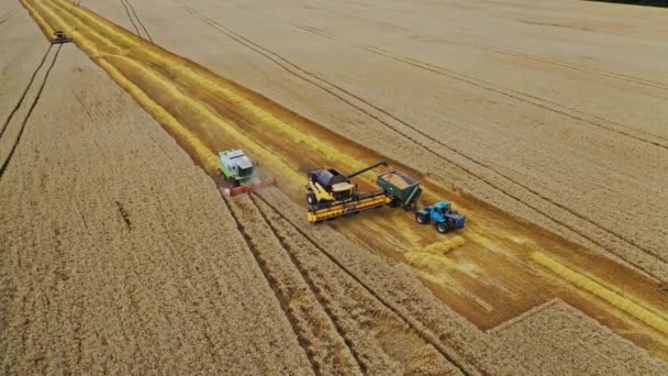 Luftaufnahme Von Landmaschinen Auf Dem Feld Saisonale Arbeiten Der Ernte — Stockvideo