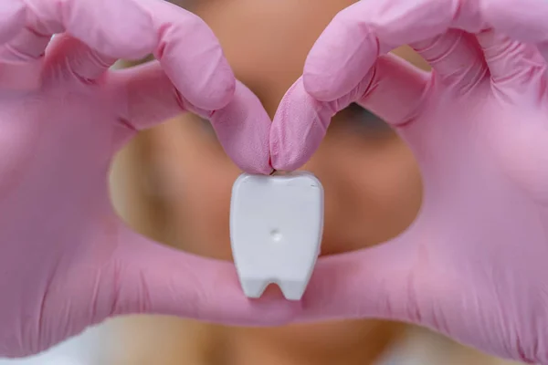 Dentist s hand holding model of a tooth. Hands in pink gloves make a heartshape. Dental care concept.