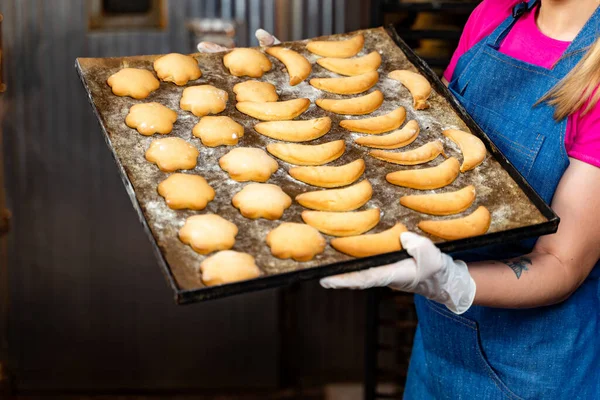 Bricka Med Färska Bröd Rullar Eller Bullar Varmt Bageri Från — Stockfoto