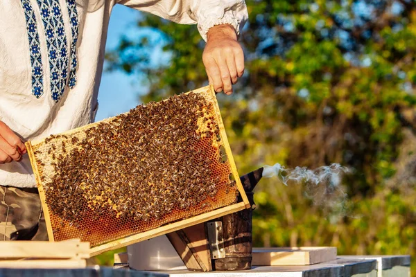 Primo Piano Una Struttura Con Favo Cera Miele Con Api — Foto Stock