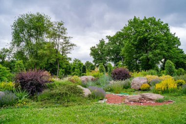 Evin dışında peyzaj tasarımı. Güzel çalılar, dekoratif ağaçlar ve çalılar..
