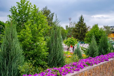 Dışarıdaki çiçeklikler çok güzel. Evin dışında peyzaj tasarımı. Modern ağaçlar ve çalılar.