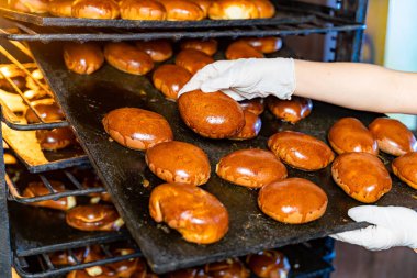 Profesyonel fırıncı. Üniformalı genç ve güzel bir kadın. Fırın ya da ekmek fabrikasının arka planında bir tepsi taze ekmek rulosu. Fırın yapımı..