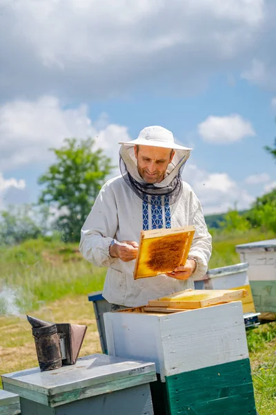 Apicoltore Sta Lavorando Con Api Alveari Sull Apiario — Foto Stock