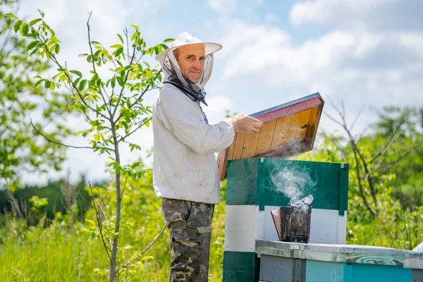 Πορτρέτο Του Αρσενικού Μελισσοκόμου Κυψέλες Στο Παρασκήνιο Φορέστε Προστατευτικά Ρούχα — Φωτογραφία Αρχείου