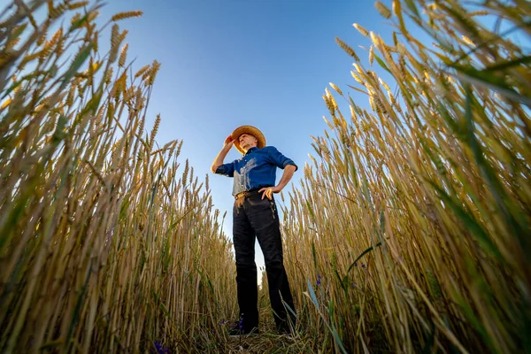 Focus Selettivo Sull Uomo Piedi Nel Campo Grano Colza Stagione — Foto Stock