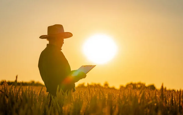 Silhouette Dell Uomo Guardando Bellissimo Paesaggio Campo Tramonto — Foto Stock