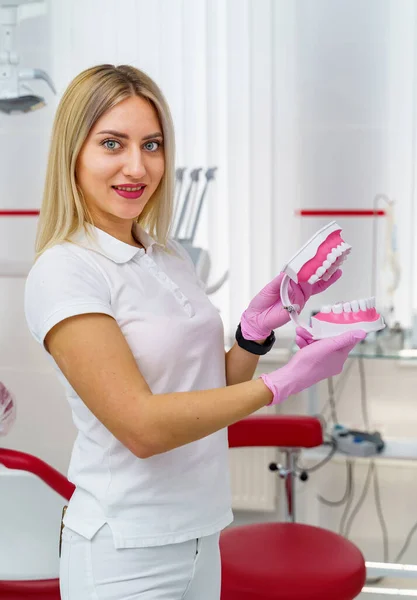 手に人工歯モデルを持っている女性歯科医 歯科衛生と健康の概念 — ストック写真