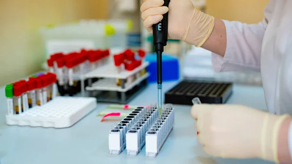 Cercetare Laborator Asistent Laborator Profesionist Care Face Analize Sânge Pentru — Fotografie, imagine de stoc