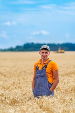 Gün batımında doğal organik hasadı kontrol eden adamla inanılmaz bir manzara..