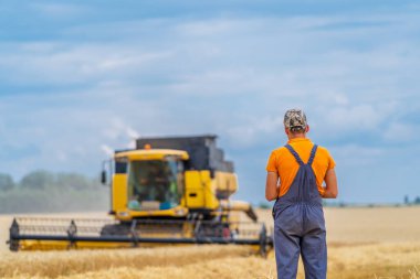 Çiftçi sırtı kameraya dönük duruyor. Sarı, çiftçinin önünde birleşiyor. Altın kuru buğday.