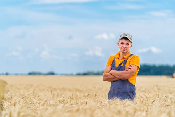 Młody Rolnik Stoi Złotym Polu Pracownik Rolnictwa Zawodowego Miejscu Pracy — Zdjęcie stockowe