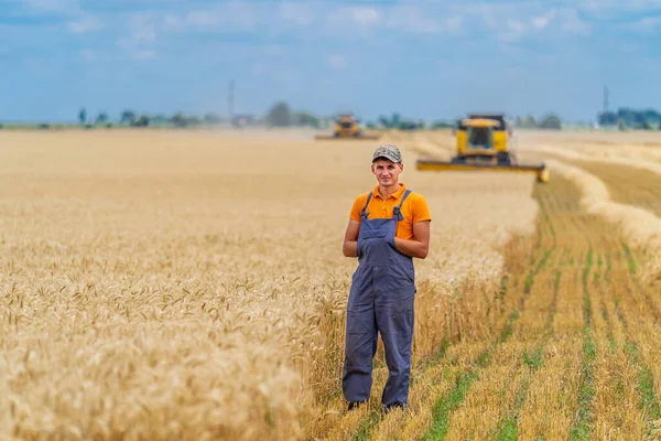 Agricultor Campo Trigo Com Trabalho Combinam Fundo Céu Azul Acima — Fotografia de Stock