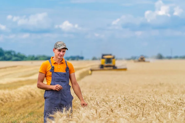 Agriultúrás Folyamat Búzamezőn Farmer Nehéz Technikák Vidéki Táj — Stock Fotó