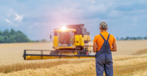 Agricultor Observando Processo Colheita Combine Trabalhos Campo Trigo Seco Paisagem — Fotografia de Stock