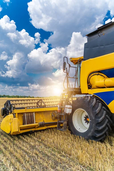 Agriculture machine harvesting crop in fields, Special technic in action. agricultural technic in field. Heavy machinery, blue sky above field.