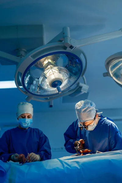 Equipo Médico Realizando Operación Quirúrgica Sala Cirugía Moderna Luminosa Teatro — Foto de Stock