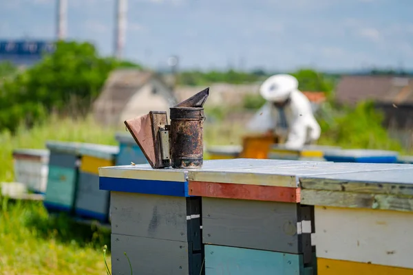 Closeup of bee smoker at colorful hive. Bbeekeeper at the blurred background. Apiary concept.