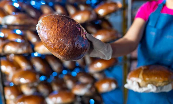 Handhållande Tårta Eller Muffins Fabriken Ugn Bakgrund — Stockfoto