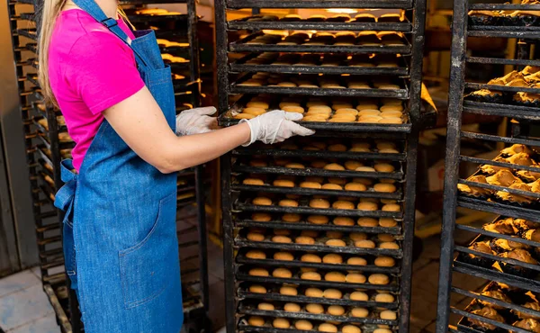 Buns production line. Professional oven at factory. Industrial food production.