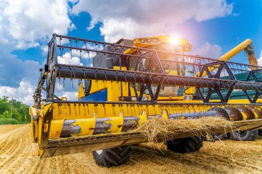 Buğday tarlasında ağır teknisyenler. Sarı buğday hasadını birleştirir. Gözlem süreci. Ön görünüm.