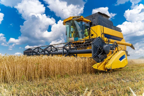 Jordbruksprocess Vetefält Tung Teknik Landsbygd Skördetid — Stockfoto