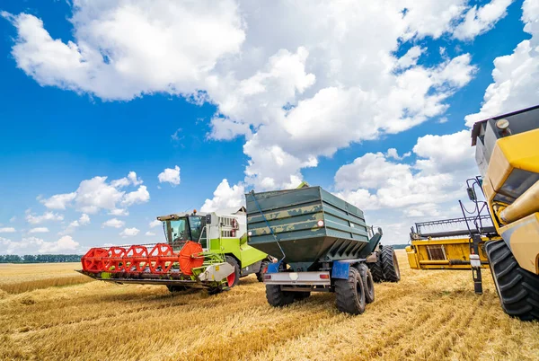 Drei Weizensammelmaschinen Realer Prozess Der Weizenernte Blauer Bewölkter Himmel Über — Stockfoto