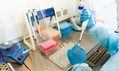 DNA araştırması için örnekleri ve sıvıyı inceleyen bilim adamlarının elleri..