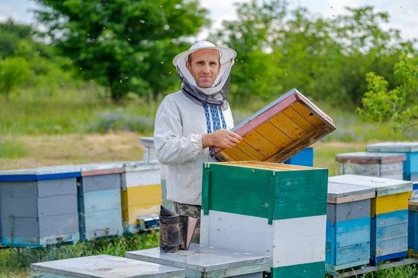 夏の日は養蜂家 アピアで働いてる男 食欲をそそる 養蜂の概念 — ストック写真