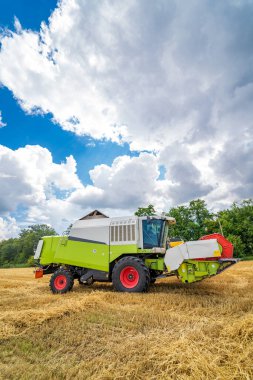 Büyük buğday tarlasında çalışan ve sarı buğday toplayan bir ekip. Tarım kavramı. Güneşli gün ve mavi bulutlu gökyüzü.