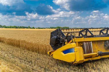 Tarım makineleri teması. Hasat işindeki hasatçıyı buğday tarlasını hasat ederken. Alan üzerinde çalışırken makine ayrıntıları alınıyor.