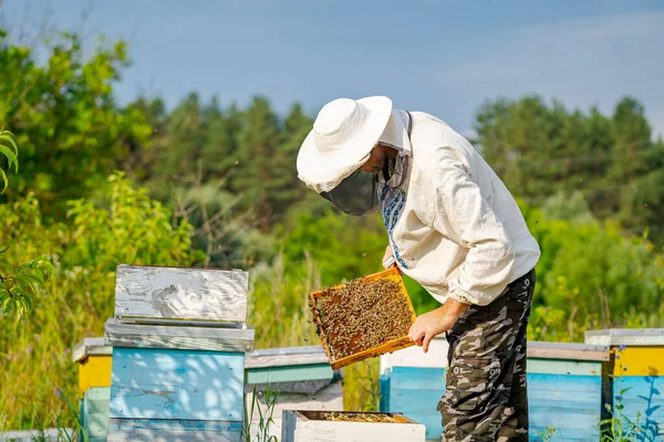 Bijenhouder Beschermende Werkkleding Hives Achtergrond Bij Bijenstal Mens Werkt Het — Stockfoto