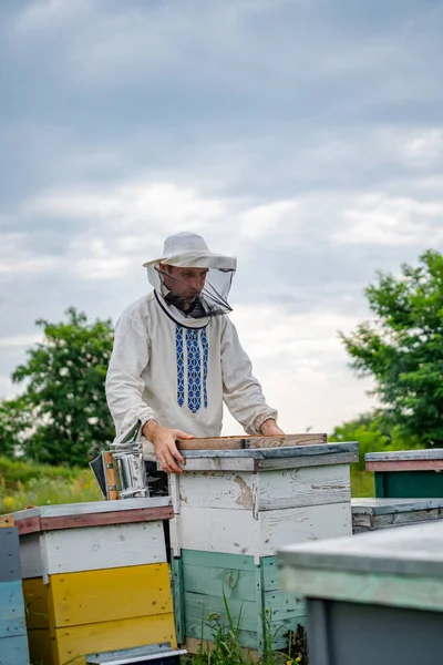 Πολύχρωμες Κυψέλες Των Μελισσών Ένα Λιβάδι Καλοκαίρι Κνίδωση Ένα Μελισσοκομείο — Φωτογραφία Αρχείου