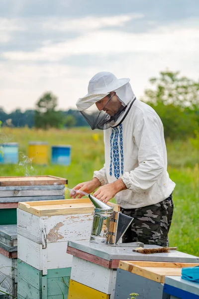 じんましんを扱うオス養蜂家の肖像画 自然を背景に 防護服を着て — ストック写真