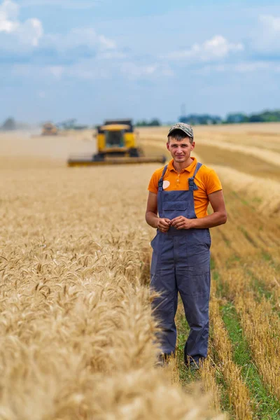 Farmer in wheat field with working combine in the background. Blue sky above.