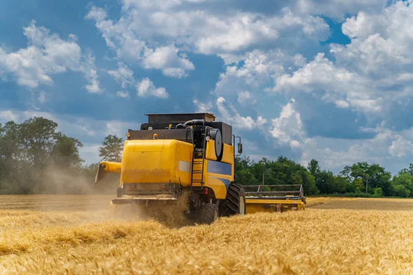 Mähdrescher Einsatz Auf Einem Weizenfeld Prozess Der Ernte Reifer Früchte — Stockfoto