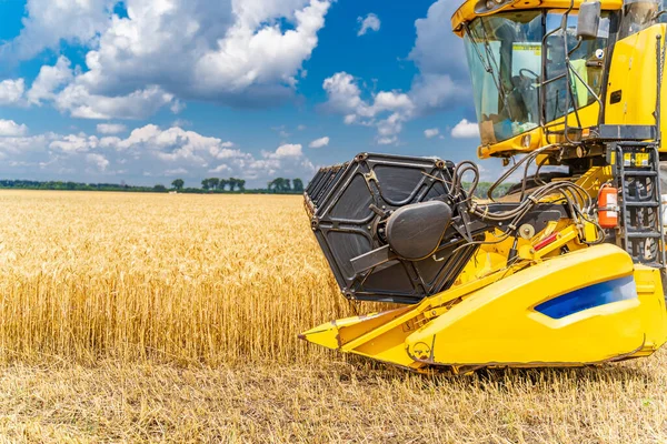 Processo Recolher Uma Colheita Madura Dos Campos Combine Colheitadeira Ação — Fotografia de Stock