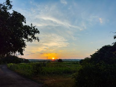 Arka planda birkaç ağaç olan bir tarlanın üzerinde güzel bir gün batımı.