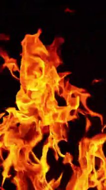 Ateş dilleri havaya yükseliyor. Kara zeminde izole edilmiş şenlik ateşi. Kapatın. Dikey video