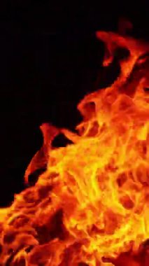 Büyük bir kamp ateşi yanıyor. Ateşin içindeki odun kütükleri. Siyah arka plan. Dikey video