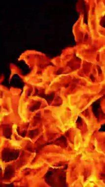 Büyük şenlik ateşi siyah arka planda izole edilmiş. Sıcak turuncu alevler yükseliyor. Kapatın. Dikey video