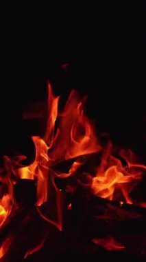Geceleri şenlik ateşi yakmak. Sıcak turuncu diller havayı yalıyor. Siyah zemin. Dikey video