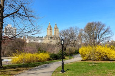 Central Park 'ta bahar sabahı yürüyüşü. Ziyaretçiler Central Park 'ta yürürken, gökyüzünün ve ikonik gökyüzü manzarasının tadını çıkarırken, hayat dolu çiçekler yol boyunca yayılıyor..